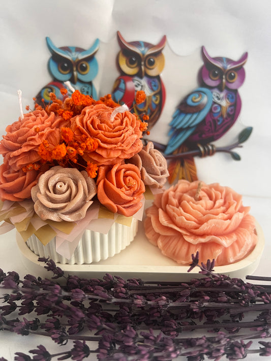 Bloom, glow & wow set of 3🌸✨