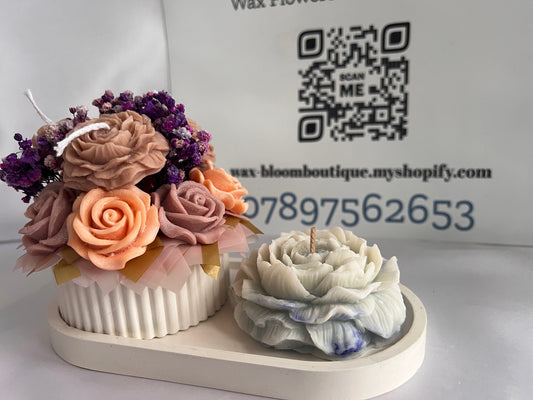 Bloom, glow & wow set of 3🌸✨