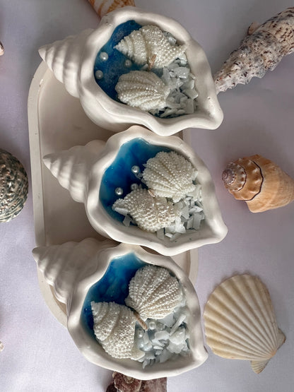 Seashell -Seashell Candle Wedding Favors for Beach Engagement Party | Coastal Theme Bridal Shower Guest Gifts | Bachelorette