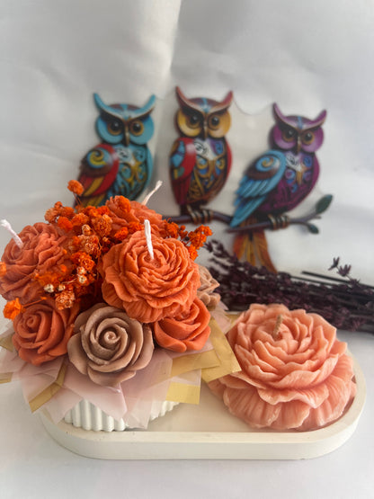 Bloom, glow & wow set of 3🌸✨