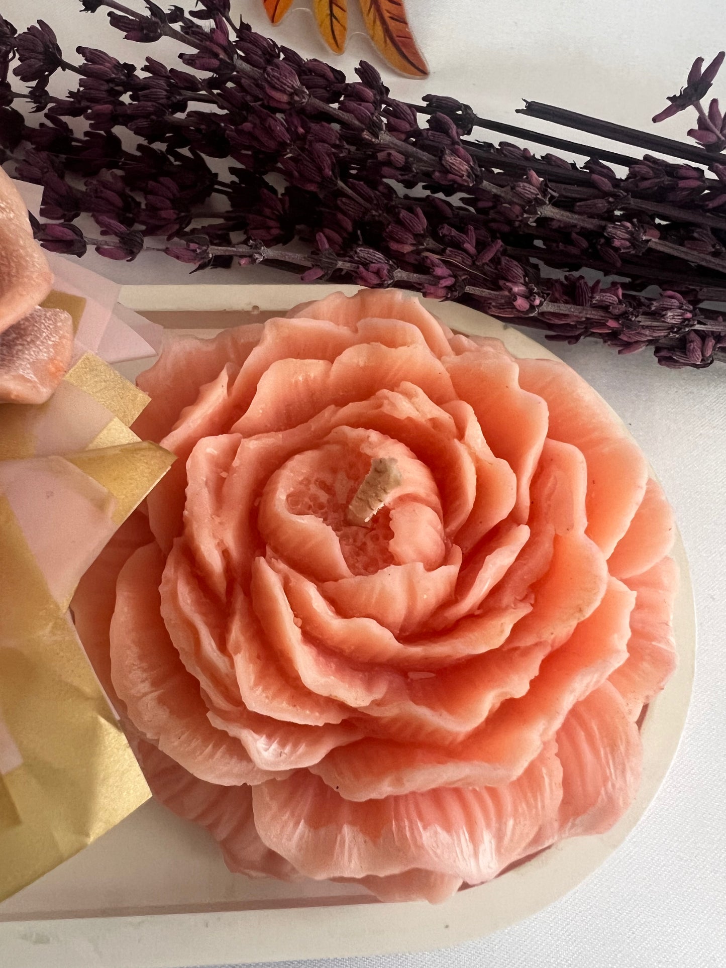 Bloom, glow & wow set of 3🌸✨