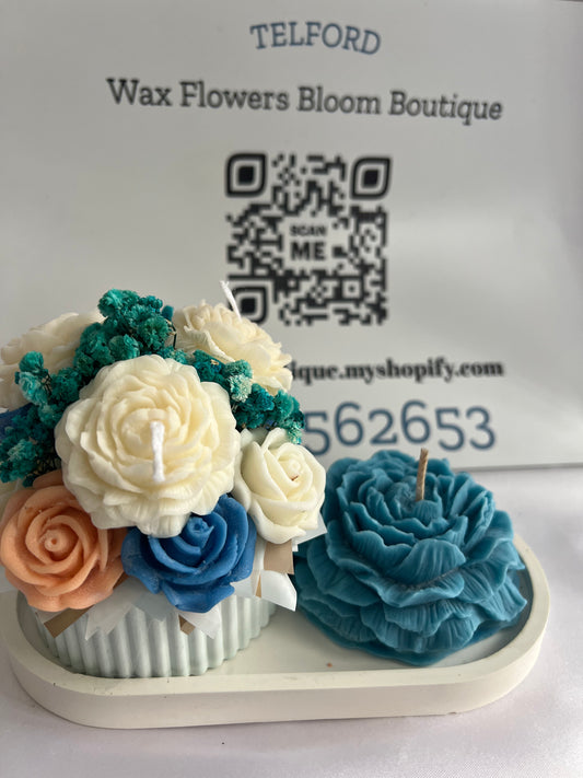 Bloom, glow & wow set of 3🌸✨